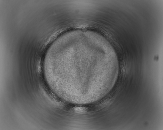 X0000115580216200912011447