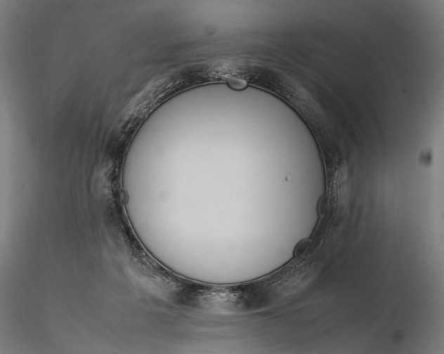 X0000115580217200912011447