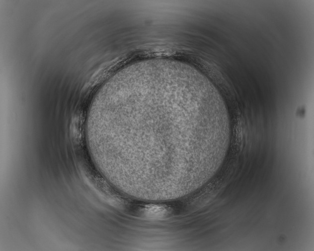 X0000115580218200912011447