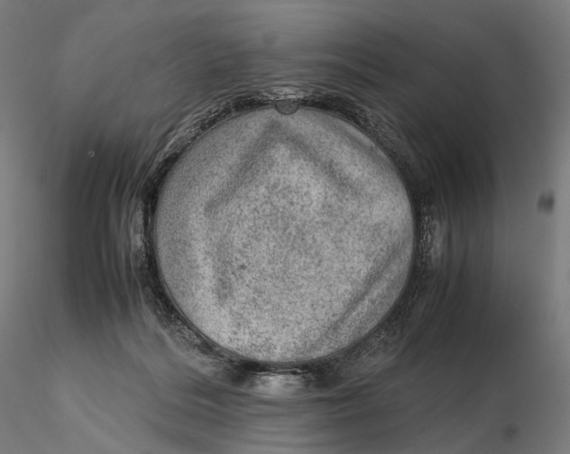 X0000115580220200912011447