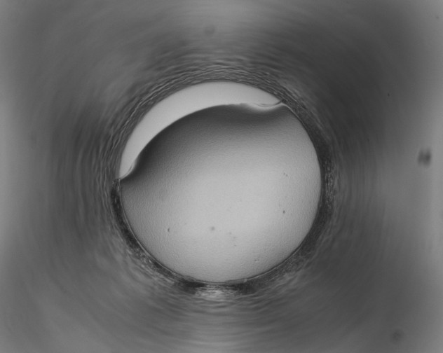 X0000115580221200912011447