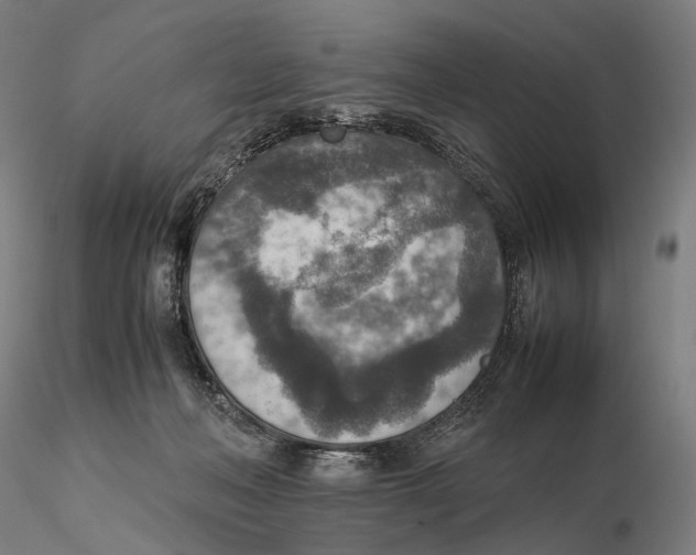 X0000115580222200912011447