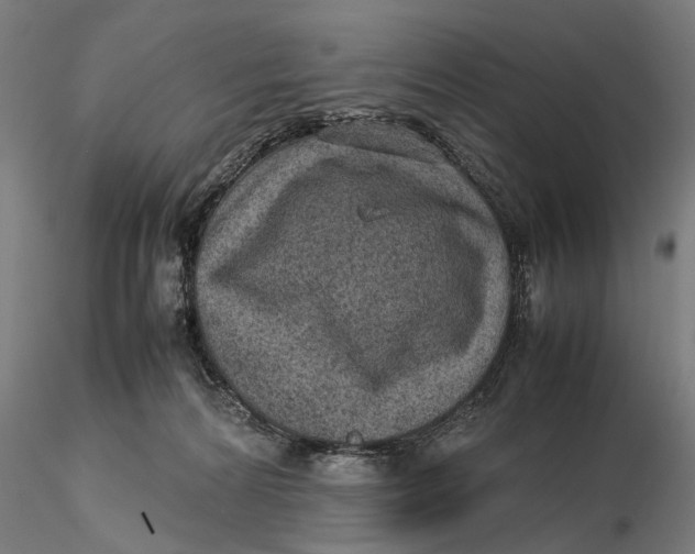 X0000115580224200912011447