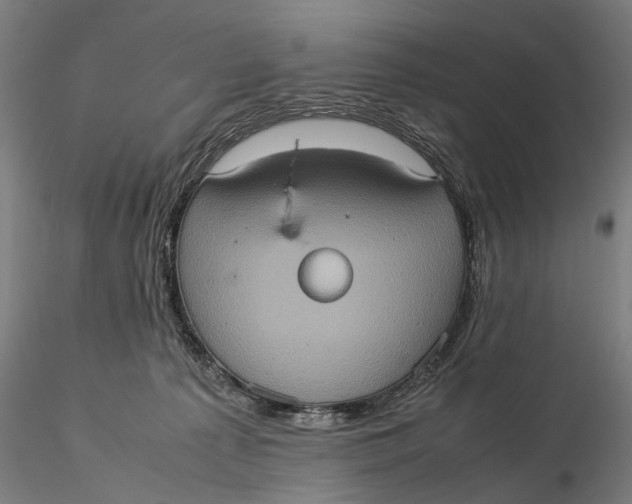 X0000115580225200912011447