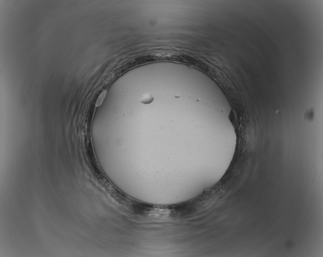 X0000115580227200912011447