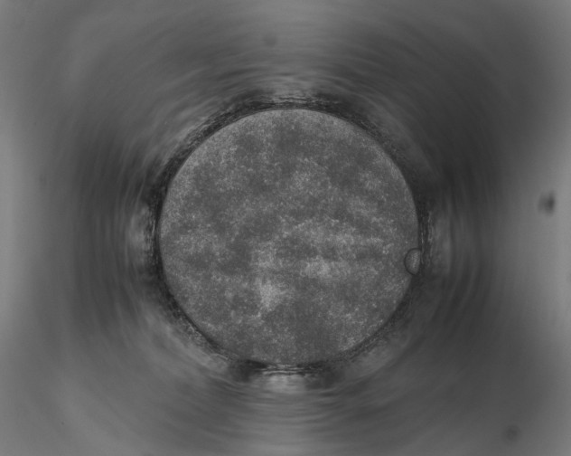 X0000115580228200912011447