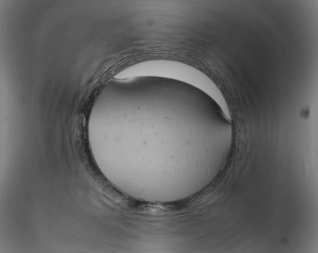 X0000115580229200912011447