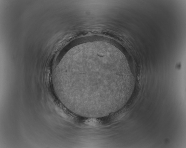 X0000115580231200912011447