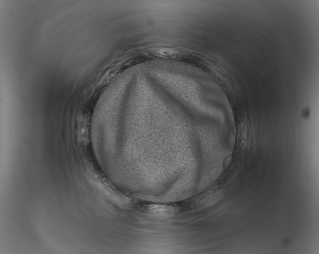 X0000115580234200912011446