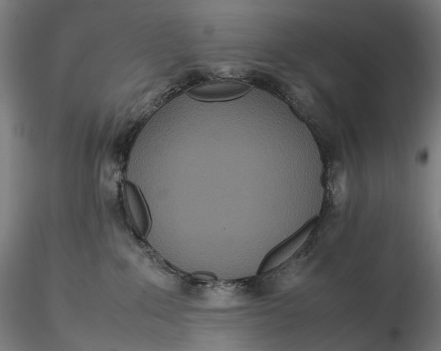 X0000115580235200912011446