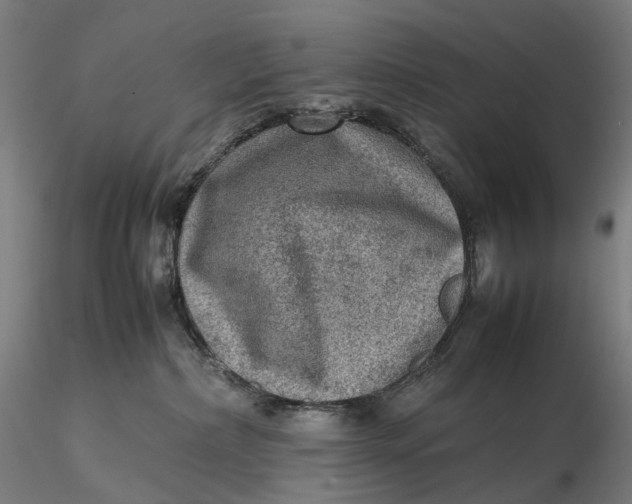 X0000115580236200912011446