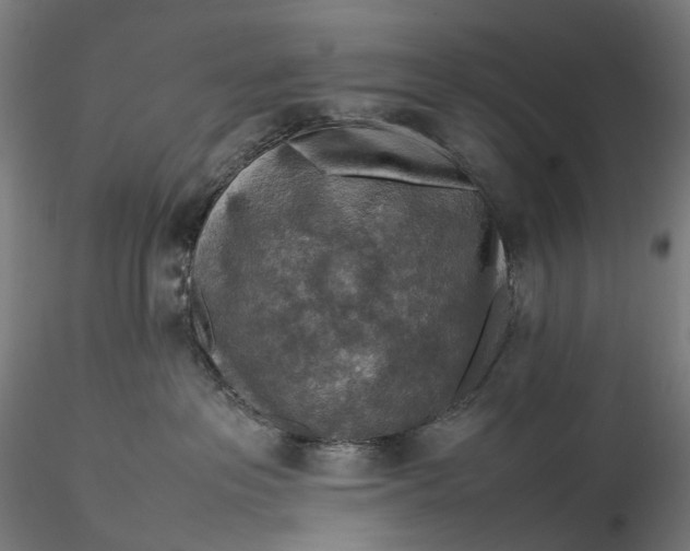 X0000115580237200912011446