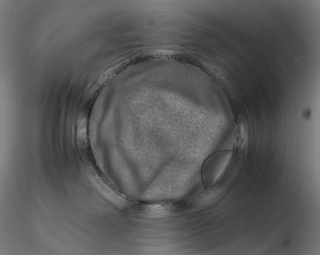 X0000115580238200912011446