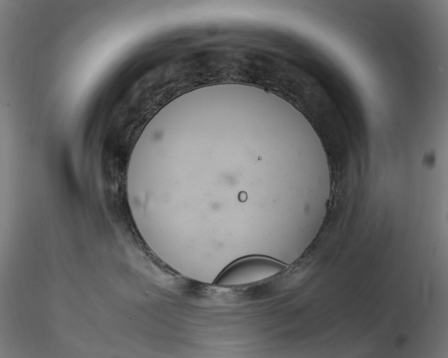 X0000115580239200912011446