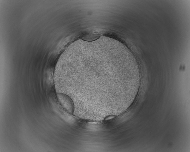 X0000115580240200912011446