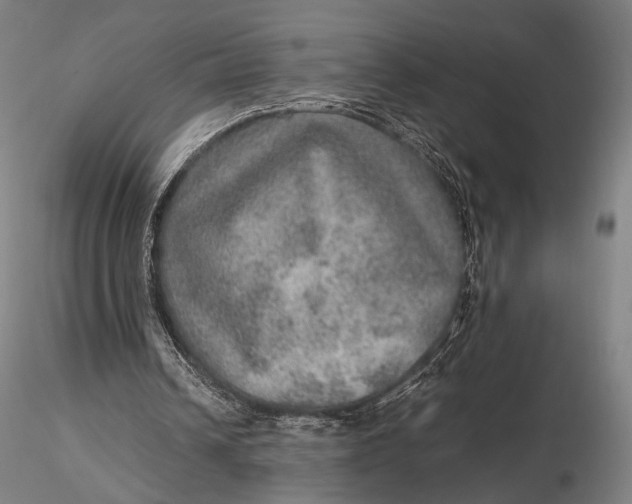 X0000115580242200912011446