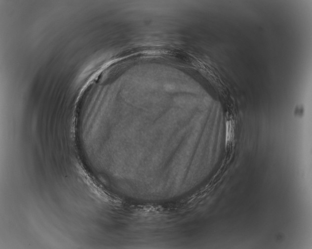 X0000115580243200912011446