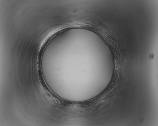 X0000115580244200912011446