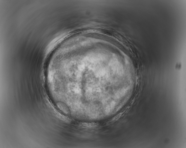 X0000115580245200912011446