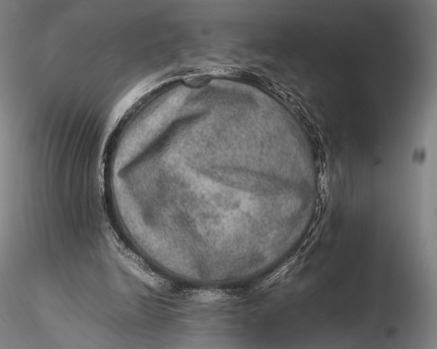 X0000115580246200912011446