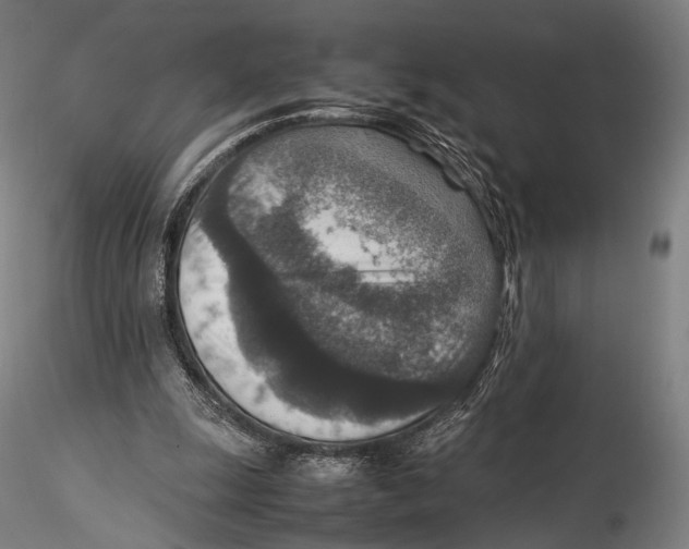 X0000115580247200912011446