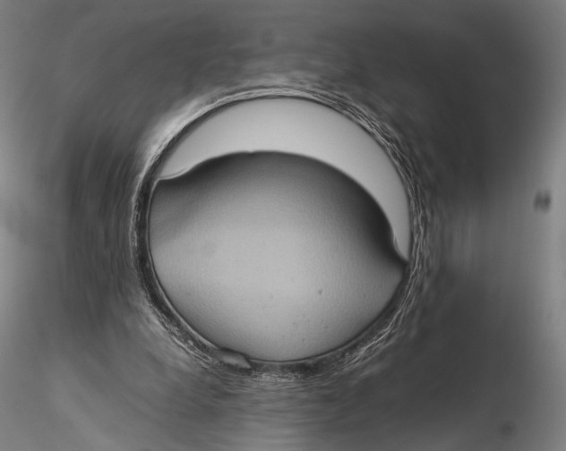 X0000115580248200912011446