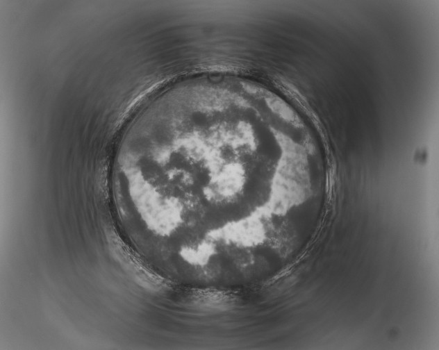 X0000115580249200912011446