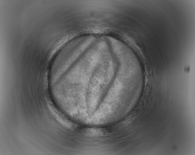 X0000115580250200912011446