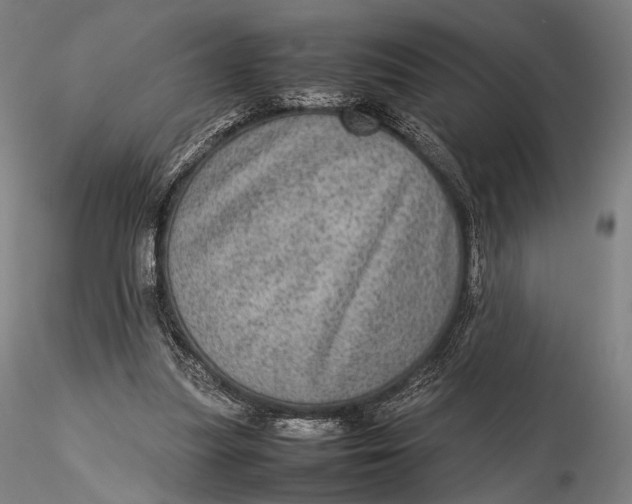 X0000115580251200912011446