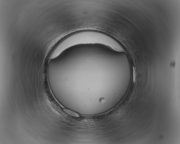 X0000115580252200912011446