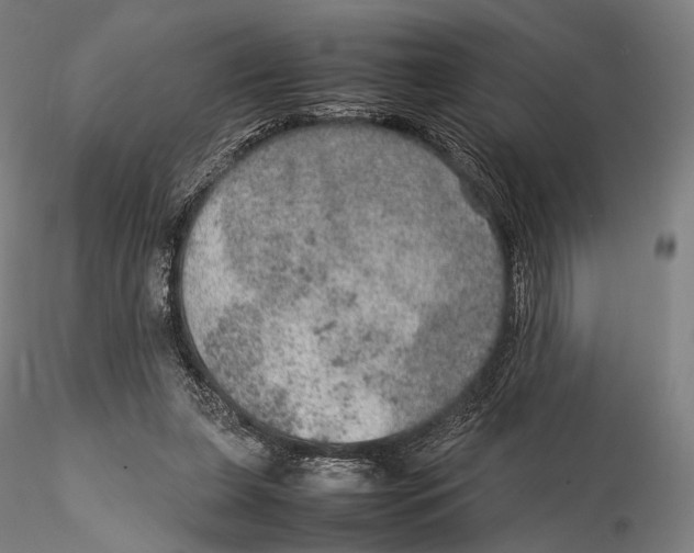 X0000115580255200912011446