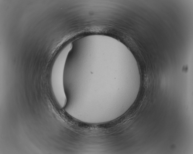 X0000115580256200912011446