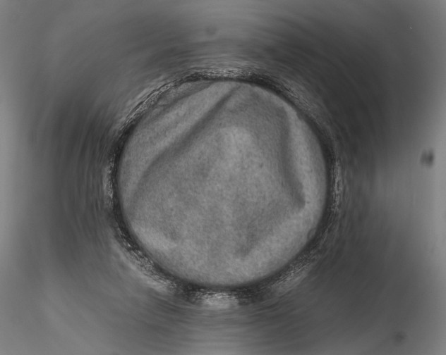 X0000115580258200912011446