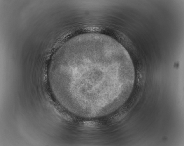 X0000115580259200912011446