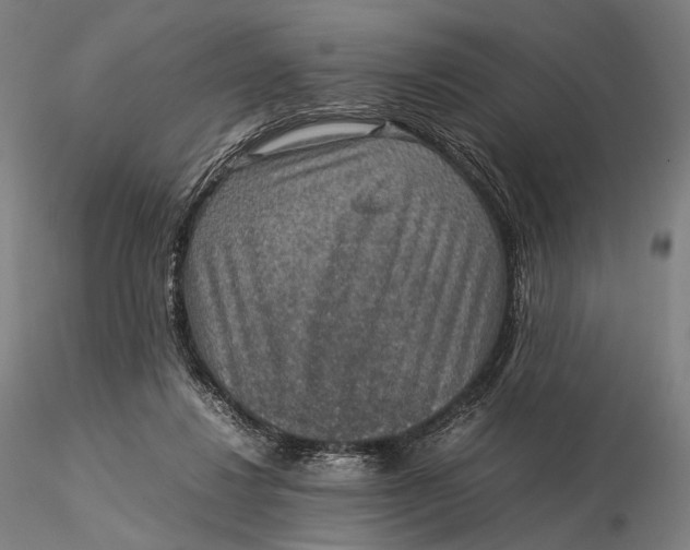 X0000115580260200912011446