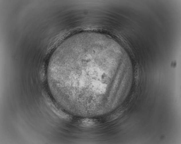 X0000115580261200912011446