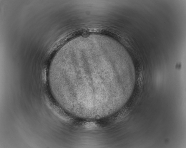 X0000115580262200912011446