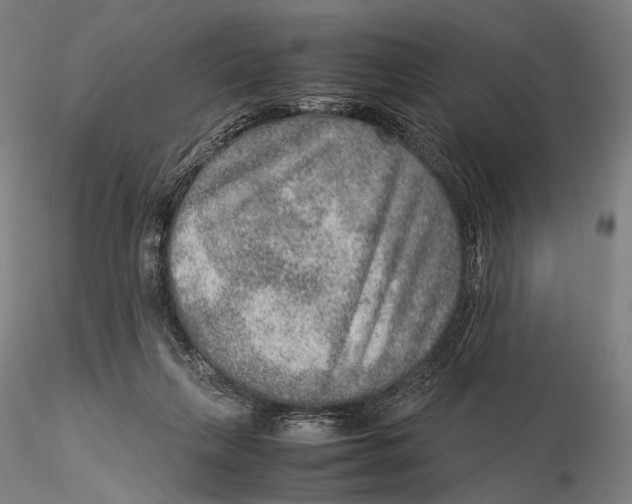 X0000115580263200912011446