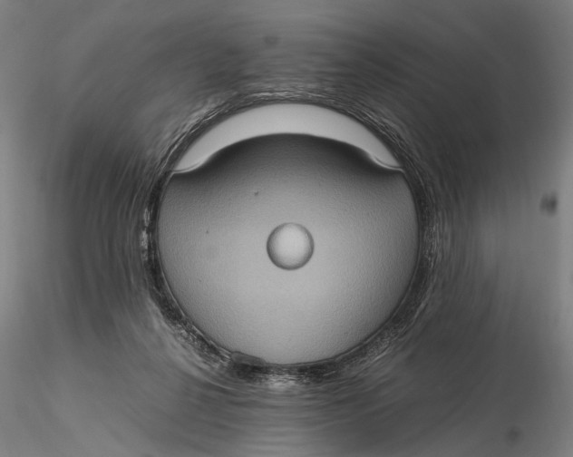 X0000115580264200912011446