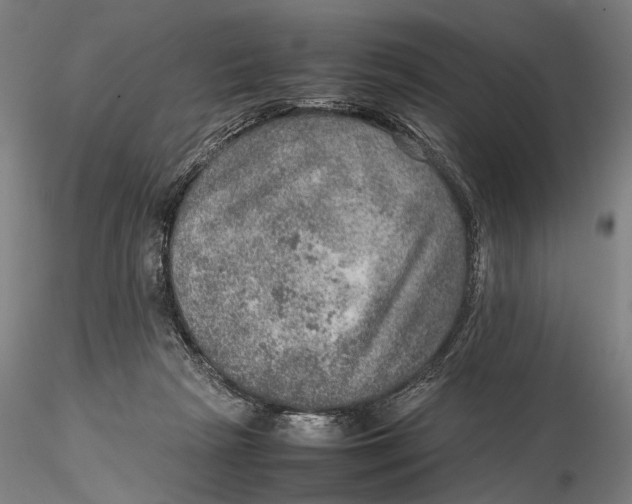 X0000115580265200912011446