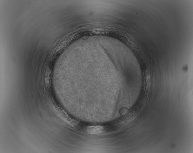 X0000115580266200912011446