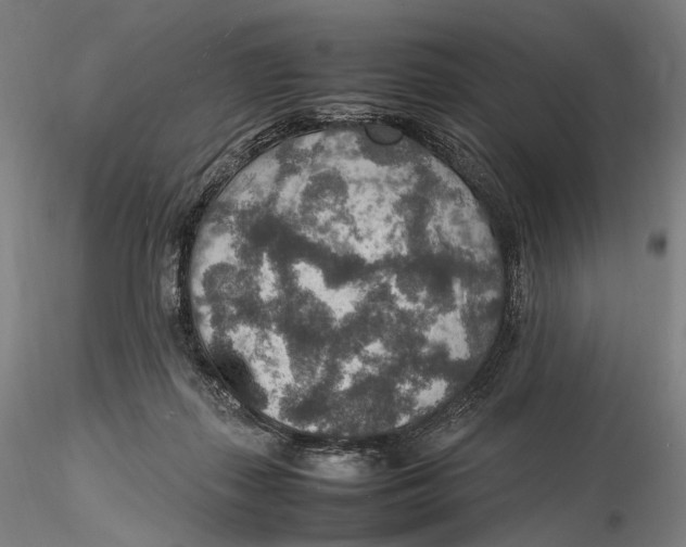 X0000115580267200912011446