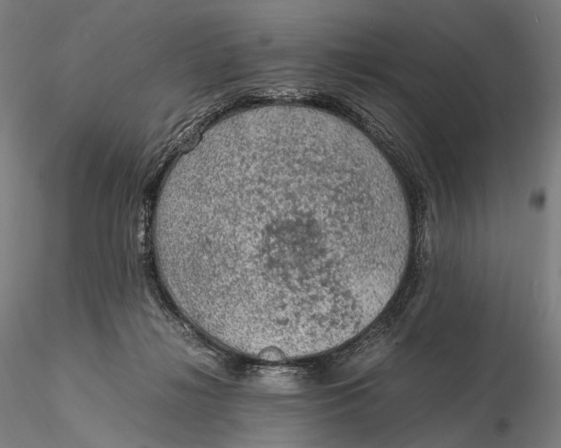 X0000115580268200912011446