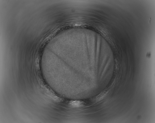 X0000115580269200912011446