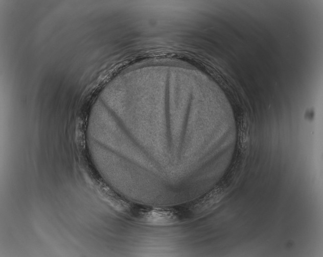 X0000115580270200912011446