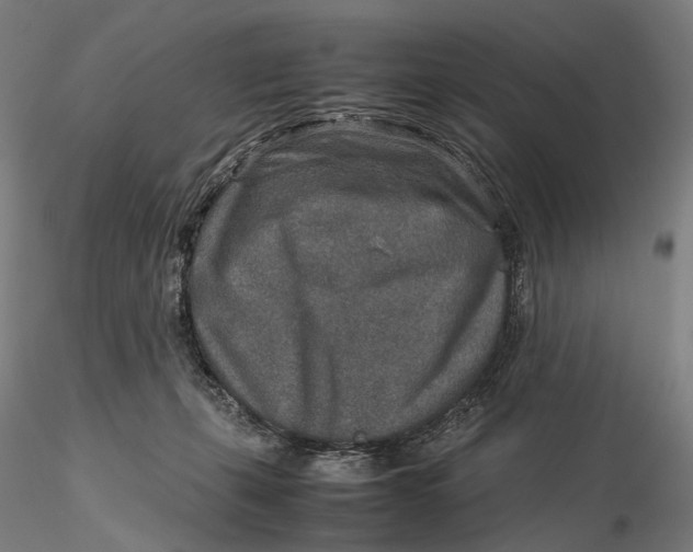 X0000115580271200912011446