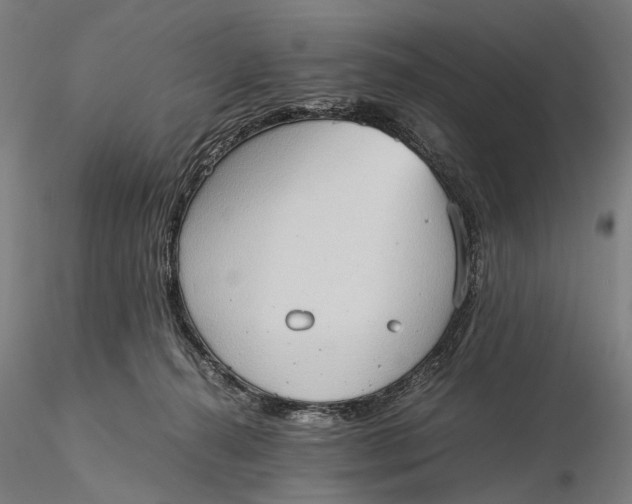 X0000115580272200912011446