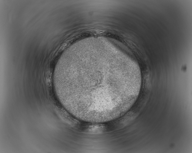 X0000115580274200912011446