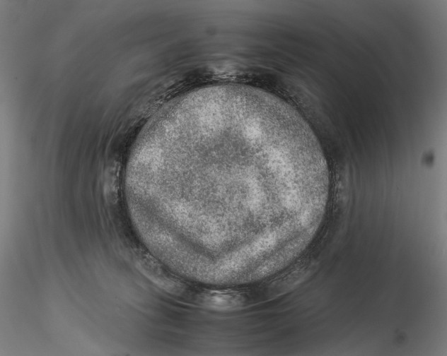 X0000115580275200912011446