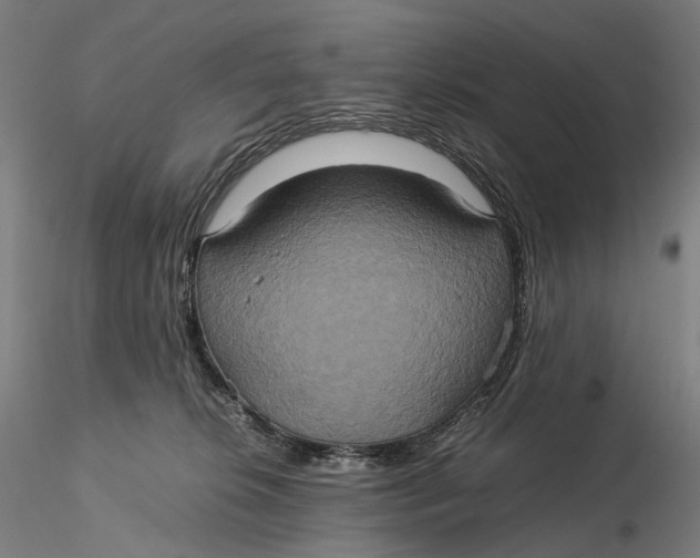 X0000115580276200912011446